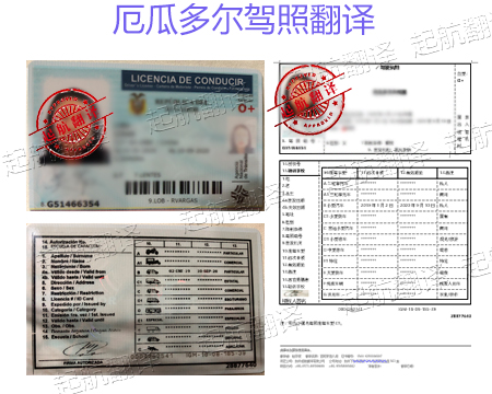 厄瓜多爾駕照.jpg