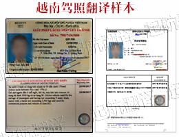 越南駕照翻譯樣本.jpg