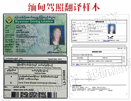 緬甸駕照翻譯樣本.jpg