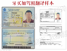 牙買(mǎi)加駕照翻譯樣本.jpg