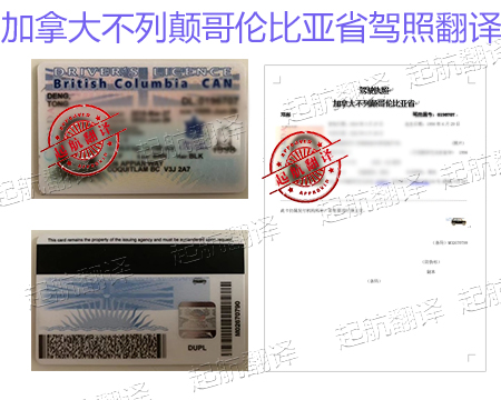 加拿大不列顛哥倫比亞省駕照翻譯.jpg