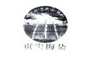TIM截圖20200424094314.jpg