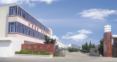 下載.jpg