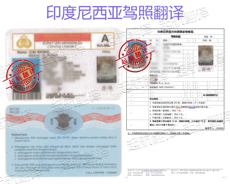 印度尼西亞駕照.jpg