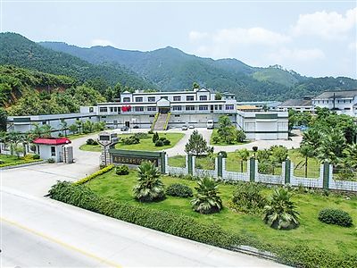 timg (2).jpg