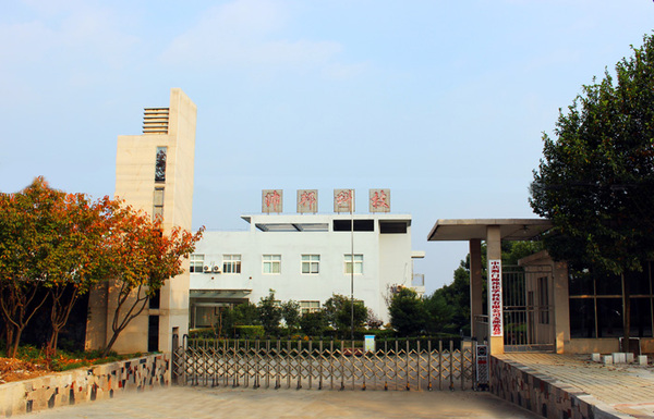 11.JPG