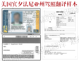 美國賓夕法尼亞州駕照翻譯樣本.jpg