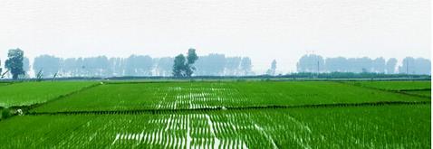 u=406818761,412871187&fm=26&gp=0.jpg