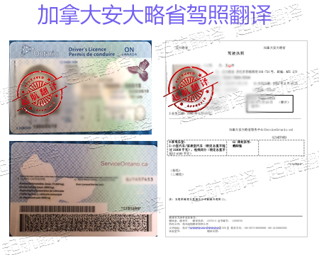 加拿大安大略省駕照翻譯.jpg