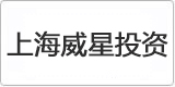 云譯上海翻譯公司為【上海威星投資管理顧問有限公司】提供翻譯服務