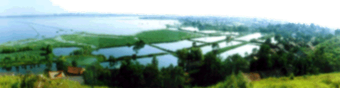 u=1594598596,497773077&fm=26&gp=0.jpg